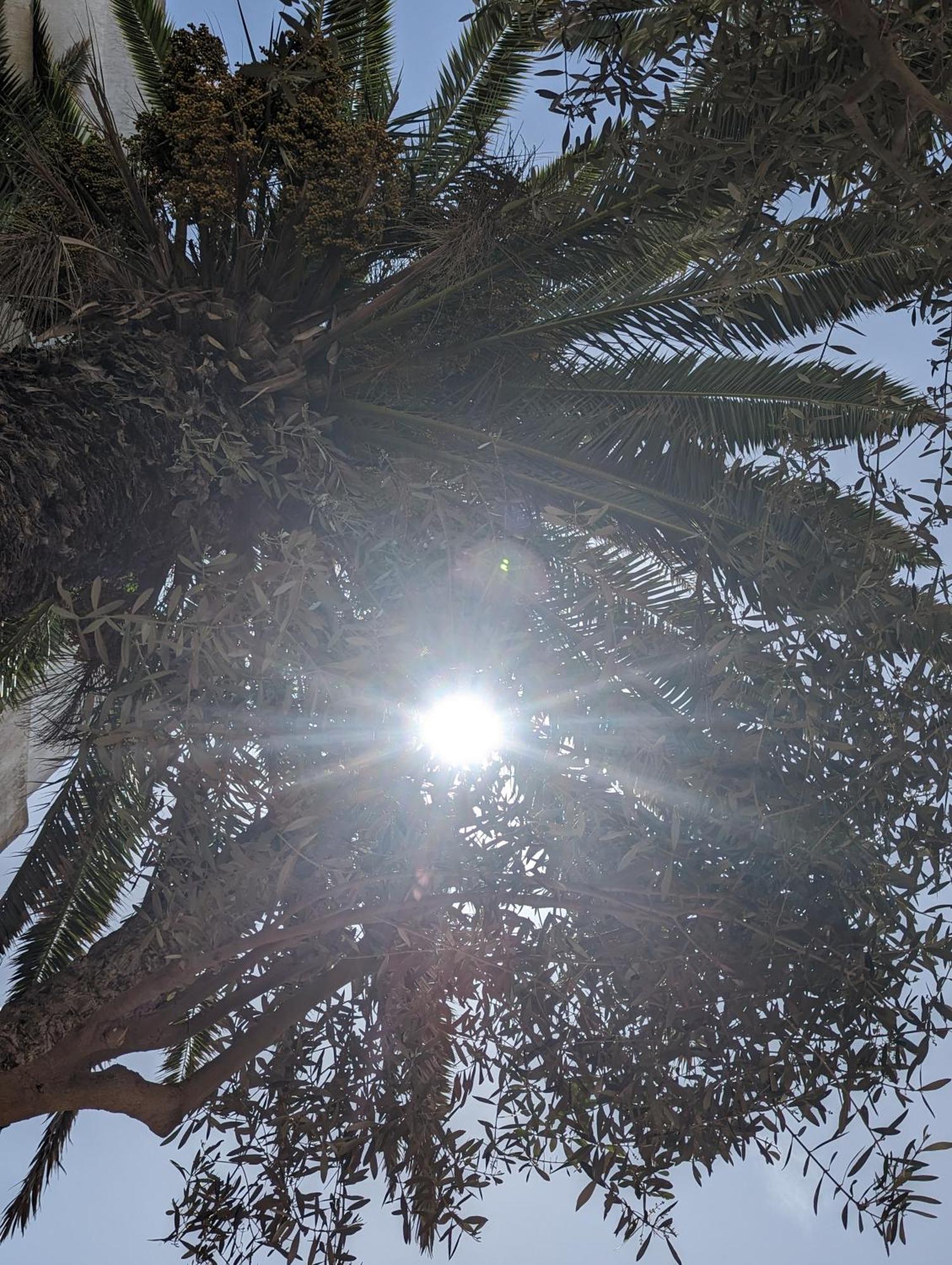 Aghata Palms Riad As-Sawíra Exteriér fotografie